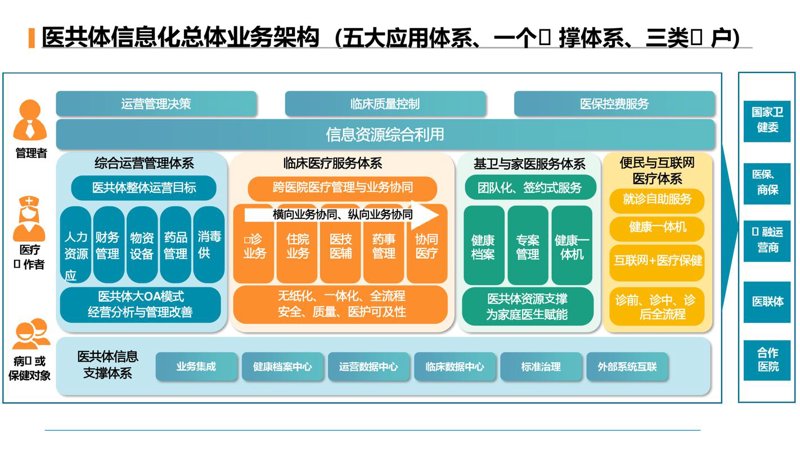 软件开发